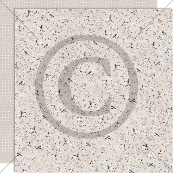 Hovedbilde Kvitter og sang