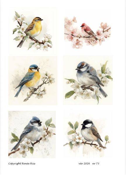 Hovedbilde Klippeark 73