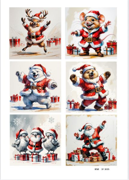 Hovedbilde Klippeark 37