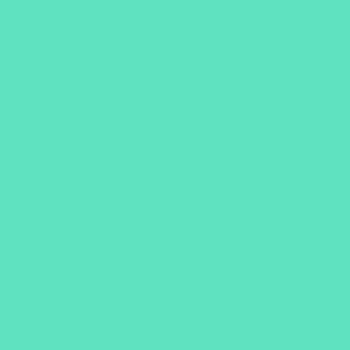 Siser Easyweed Stretch Htv Vinyl 11.8